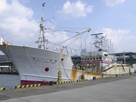 2009/02/11:境港のカニかご漁船16日ぶりに帰港！