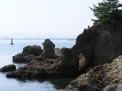 2008/05/07:≪じーっと見てください!!何か わかりますか?≫