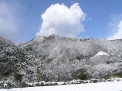 2009/1/15:����΢���㲽�ѡ���